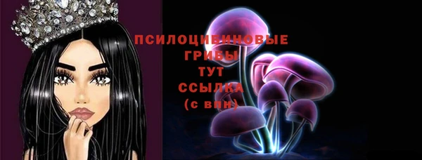 дмт Елабуга