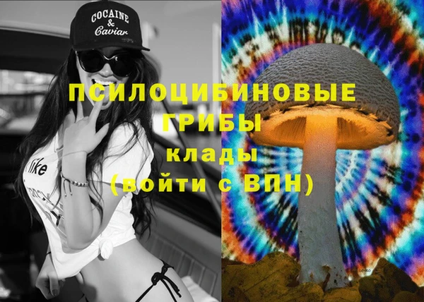 ALPHA PVP Заводоуковск