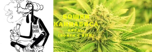 дмт Елабуга